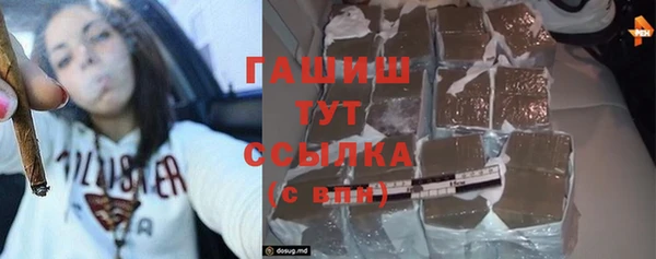 гидра Осинники