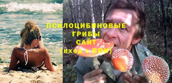 гидра Осинники