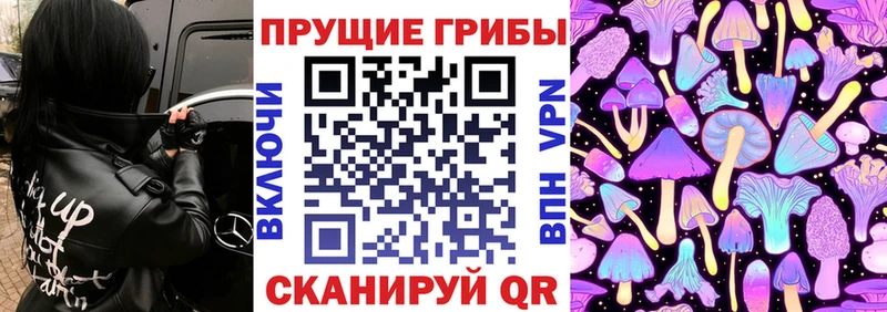 Галлюциногенные грибы GOLDEN TEACHER  Хвалынск 
